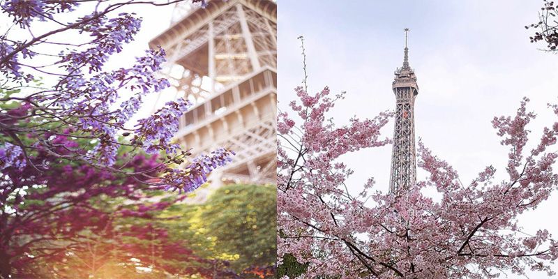 France. Attractions list. Eiffel Towel.